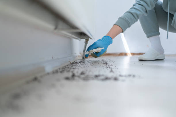 Best Commercial Pest Control Services  in Tunica, MS
