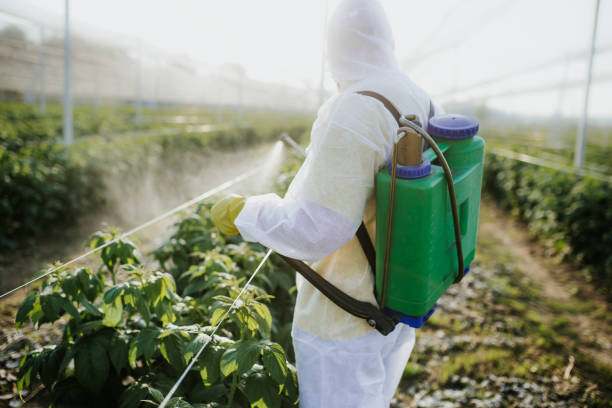 Flea Control Services in Tunica, MS